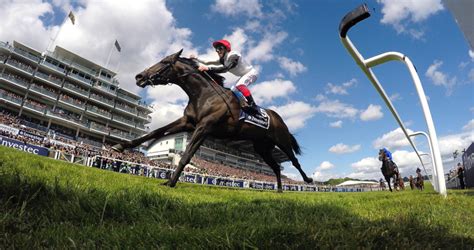 epsom racing tips today|Epsom Tips .